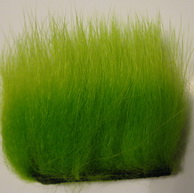 polar bear  chartreuse premium